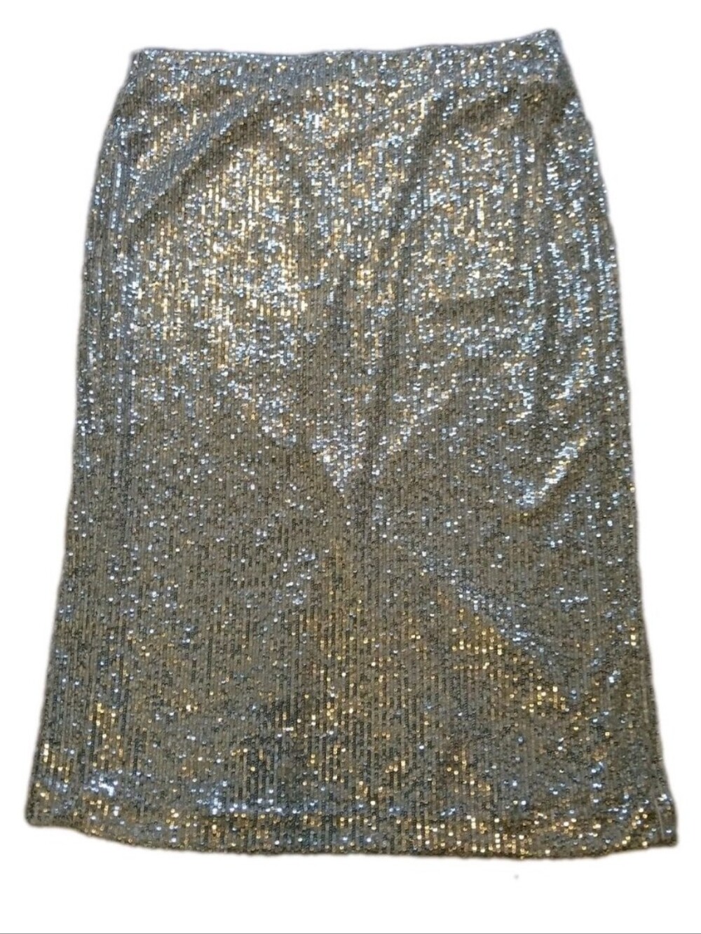 Ann Taylor Sequin Skirt Size 16P